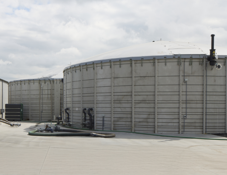 Landbouw